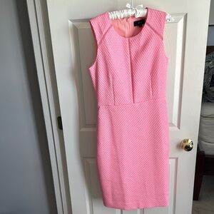 Elegant Pink Sleeveless Dress JCREW 8T